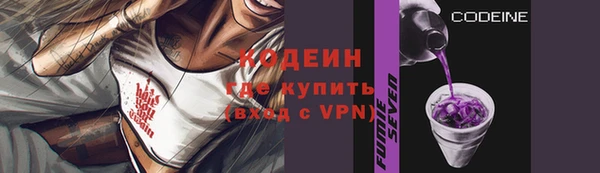 2c-b Бородино