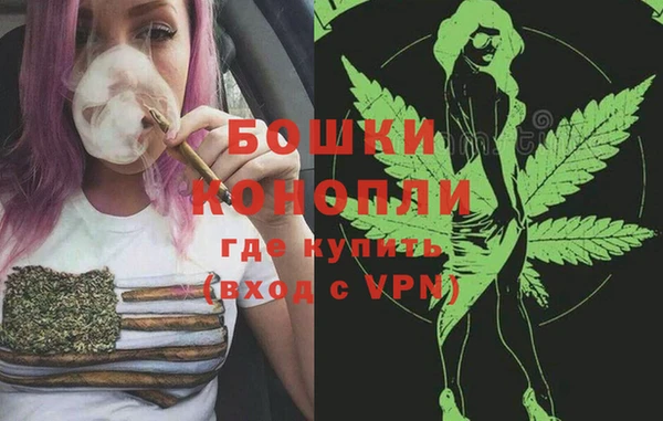 тгк Бронницы