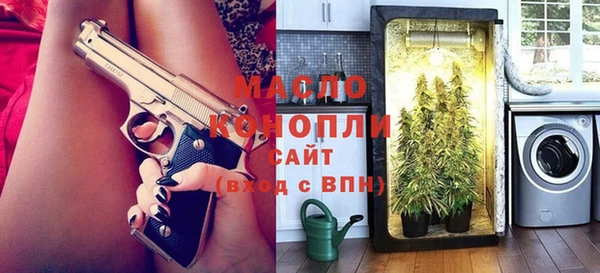 2c-b Бородино