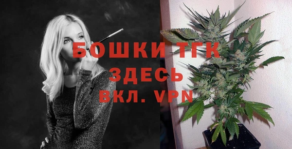 2c-b Бородино