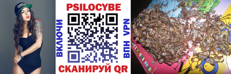 Галлюциногенные грибы Magic Shrooms  купить   KRAKEN рабочий сайт  Велиж 